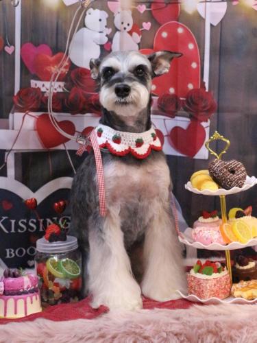 20250215銀次くん